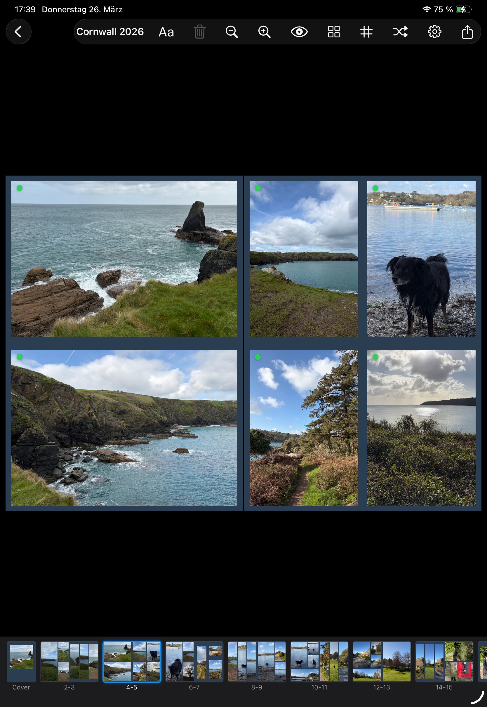 CozyPages auf dem iPad - Fotobuch-Editor mit kreativem Raster-Layout